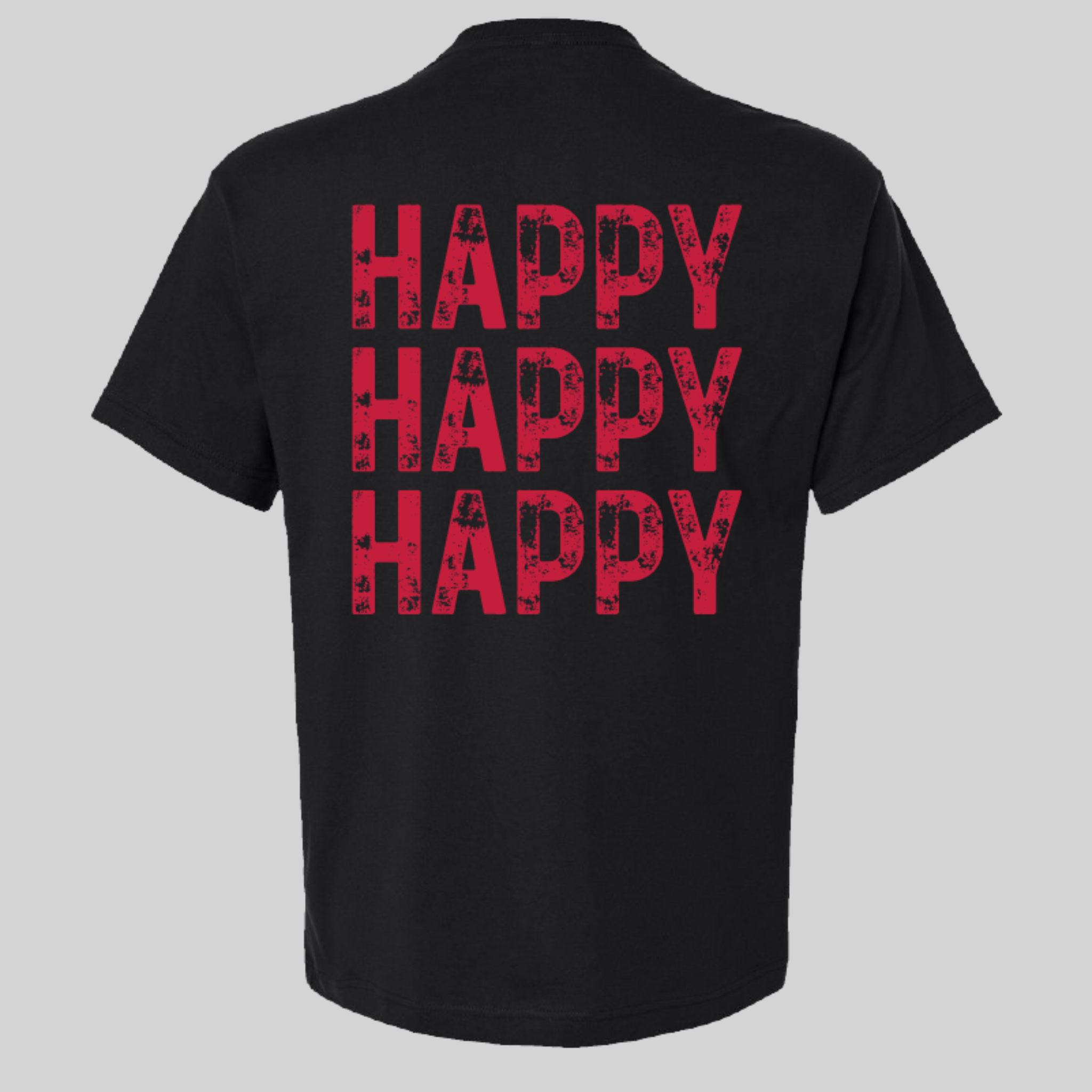 Plain White T's Happy T-Shirt Back
